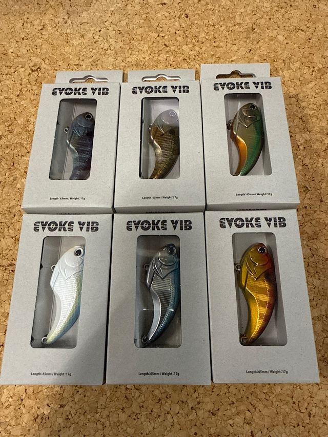 デプス　イヴォークバイブ